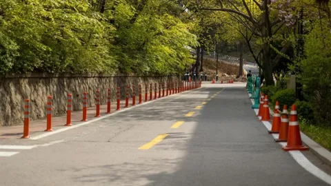 Eliminate the Guesswork in Safe Street Design
