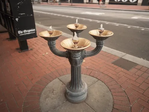Fountain Society